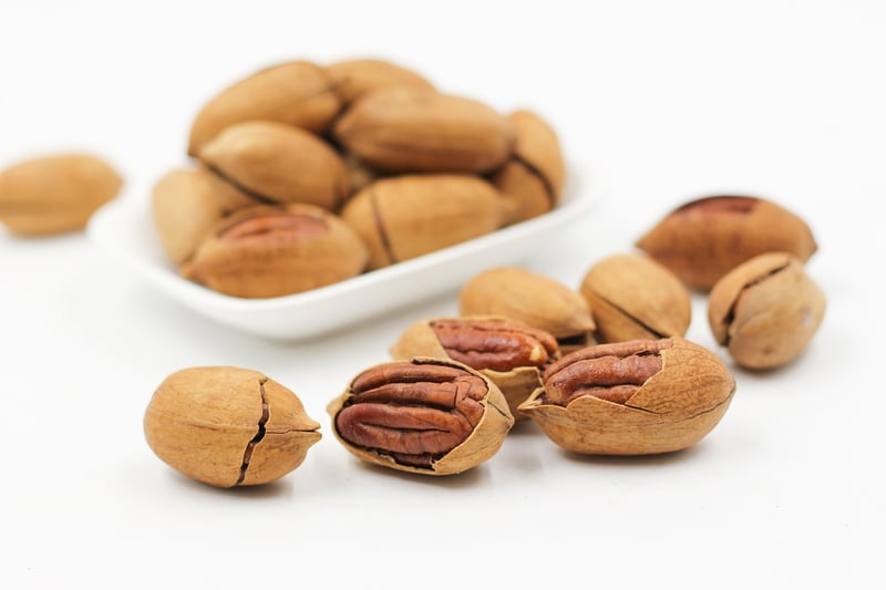 Protein Powerhouses